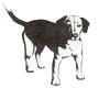 poopiedoglogosmall.gif (5635 bytes)